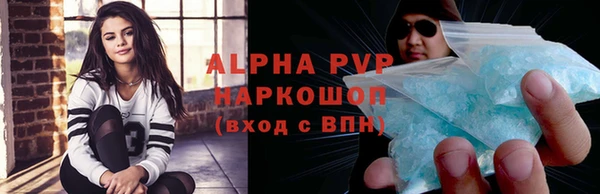 гашик Алексин