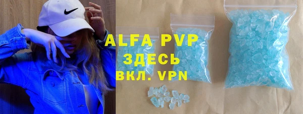 гашик Алексин