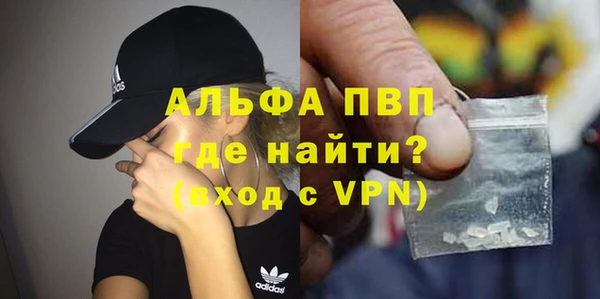 гашик Алексин