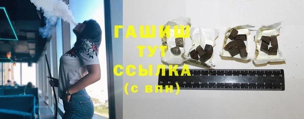 гашик Алексин