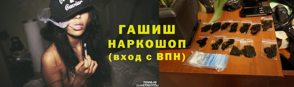 гашик Алексин