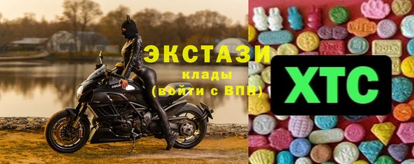 гашик Алексин