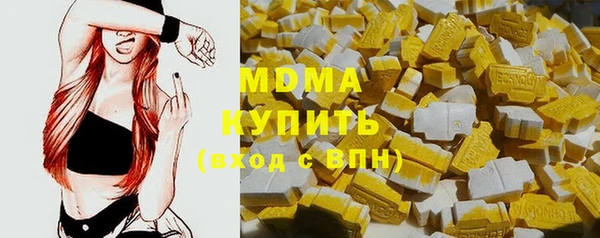 гашик Алексин