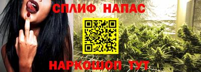 ПСИЛОЦИБИНОВЫЕ ГРИБЫ Камышлов