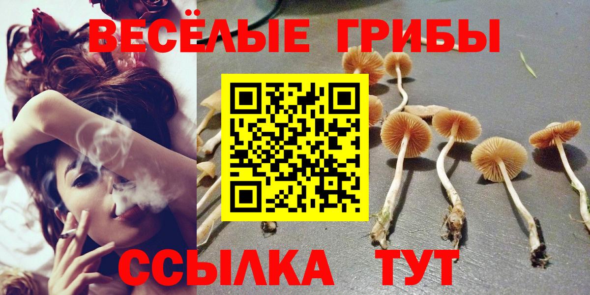 Галлюциногенные грибы Cubensis Когалым